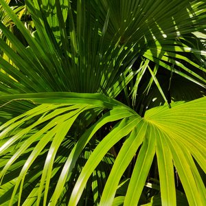 韩国做aj的视频大全
